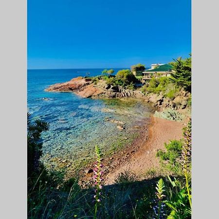 Antheor - Vue Exceptionnelle - Refait A Neuf 4 Couchages Apartman Saint-Raphaël Kültér fotó