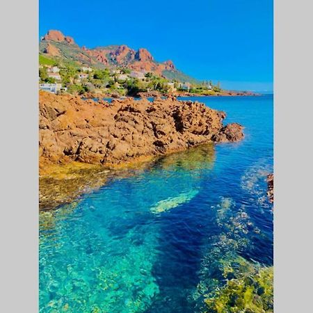Antheor - Vue Exceptionnelle - Refait A Neuf 4 Couchages Apartman Saint-Raphaël Kültér fotó