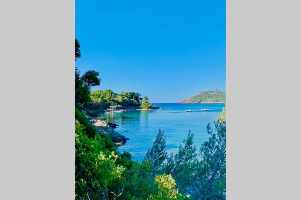 Antheor - Vue Exceptionnelle - Refait A Neuf 4 Couchages Apartman Saint-Raphaël Kültér fotó